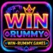 Win Rummy apk Download